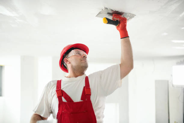 Dehumidification Services in Columbia, SC